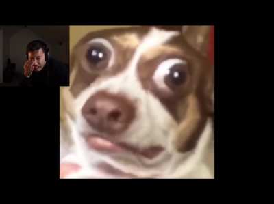 Mark&rsquo;s laugh in this video is so loud I think it counts as a scream
