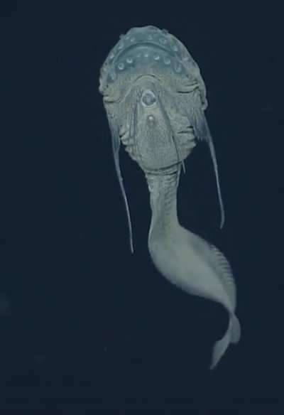 What&rsquo;s waiting in the water