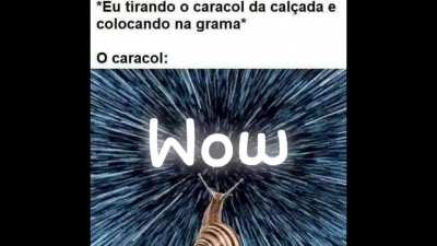 Wow
