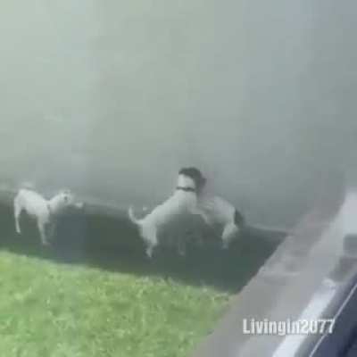 Сложная очередность