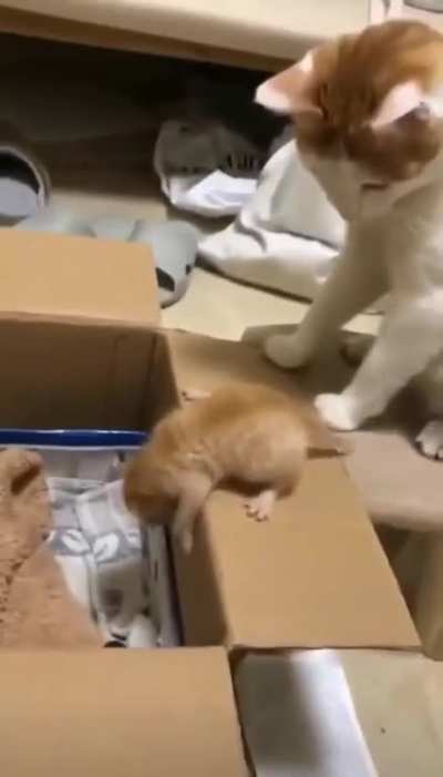 Maybe Maybe Maybe