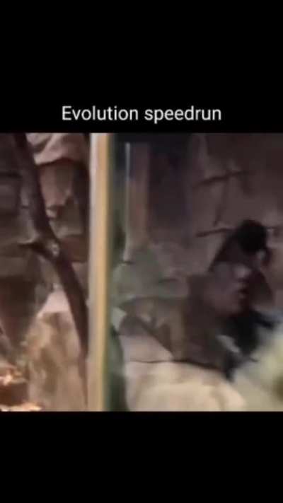 primeiro speedrun da historia