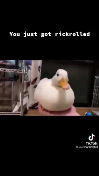 Duckroll