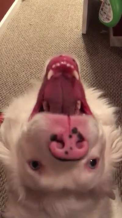 Poke to activate