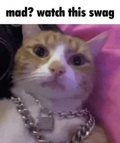 Rule 😎