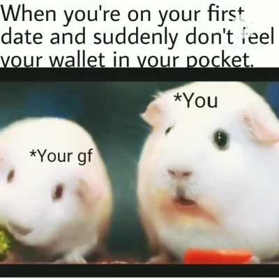absolutelynotmeirl