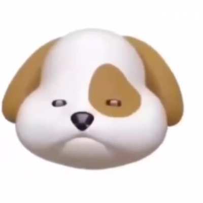 BARK BARK