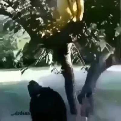 Naaaaaahhhh-