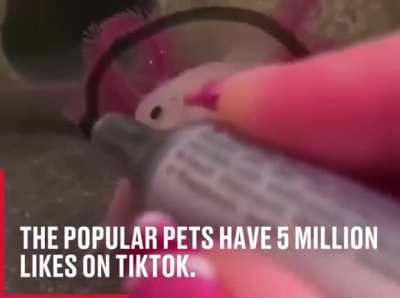 Well that&rsquo;s bloody adorable