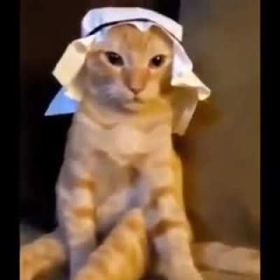 الله أكبر , أنا اللعنة مع الماعز🙏🏻 😍