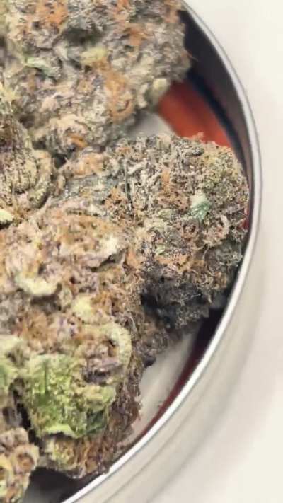 green lantern x runtz&mdash; one of my recent favorite smokes&hellip;limey, creamy candy with a balanced high to follow. green lantern= green crack x white rhino. old school with the new 