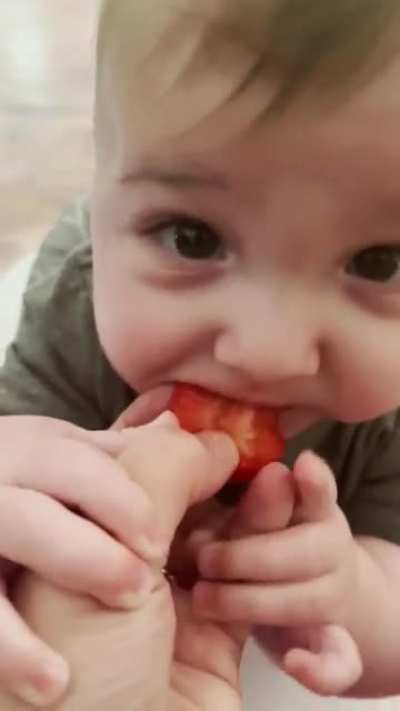 Gave my 6 month old his first taste of a strawberry&hellip; don&rsquo;t think he was a fan