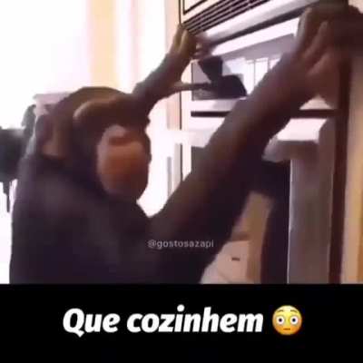 Fica a dica
