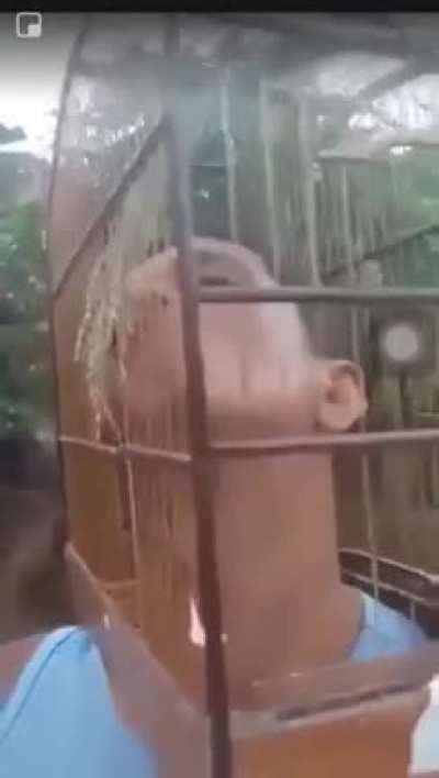 '-'