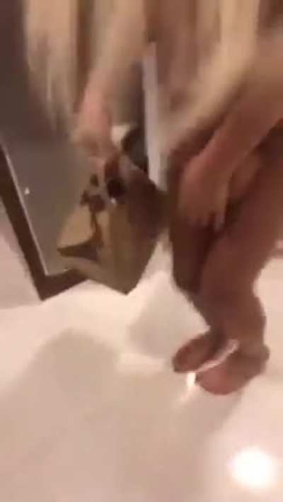 Kurye olarak &ccedil;alışan kardeşlerim toplanın. Hanginiz bu ?