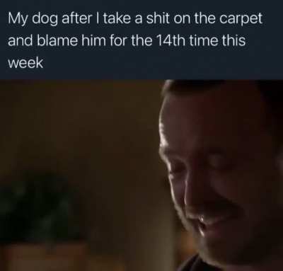 dogshit rule