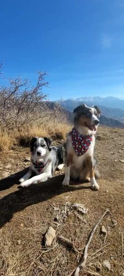 Happy Valentines day 💓 yesterday's hike ❤️ 💕 💗 💘 💖 🩷