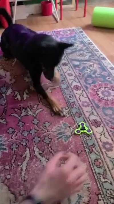 She gets really jazzed about fidget spinners 🤷&zwj;♀️