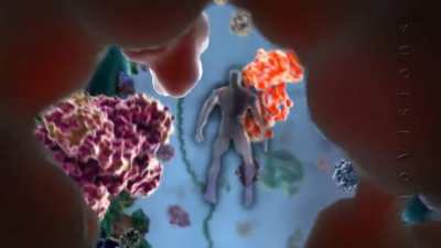 Sodium entering the cell after the i&oacute;nico Channel binds a ligand