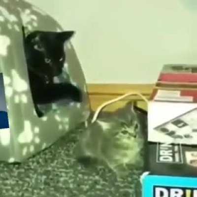 TUM