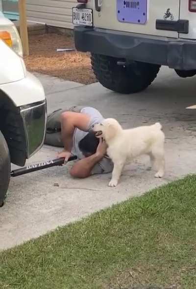 No work, only play!