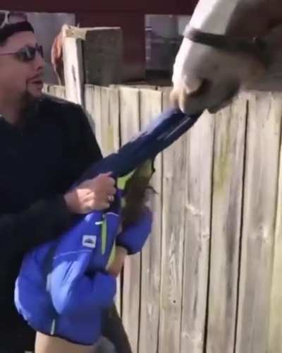 Don&rsquo;t disturb the horse while he eats