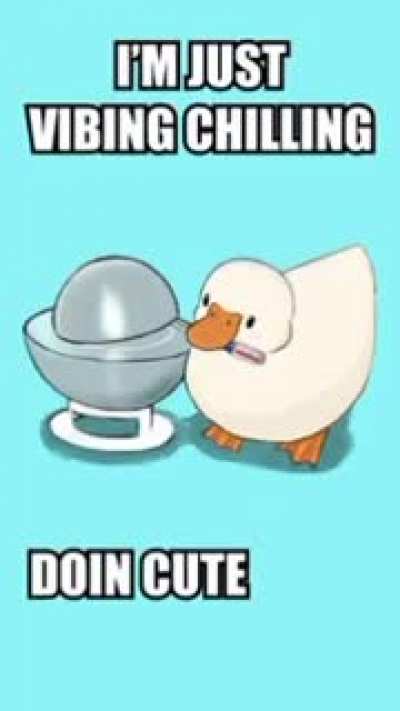 Oh what an innocent duck. 