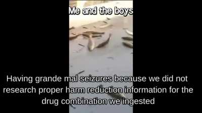ham reduction ham reduction