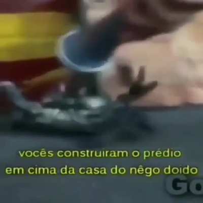 Seres humanos