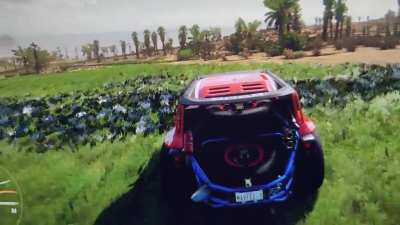 Grass texture bug?