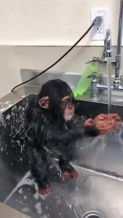 mucalol tentando tirar o mal cheiro mas ele n&atilde;o sai fedidolol