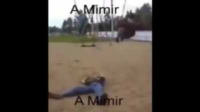 a mimir