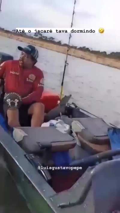 🐊