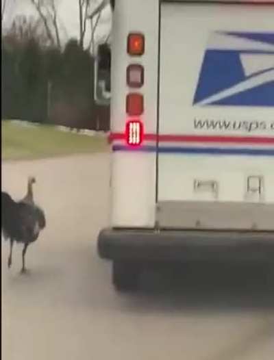 Angry father chases a suspicious slow moving white van out of his neighborhood