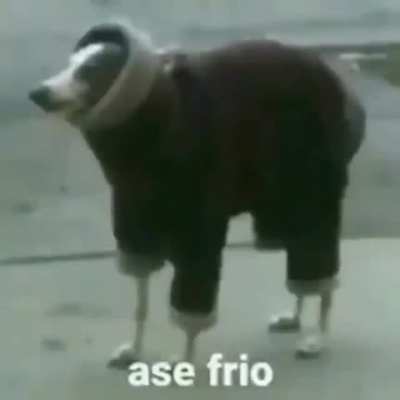 As&eacute; frio