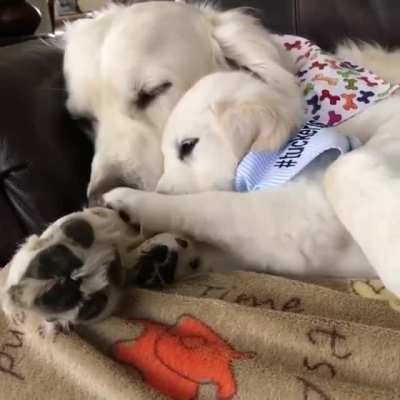 "Yep, this my dad"