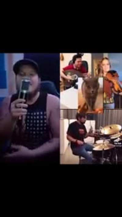 Mais uma musica para alegrar o seu dia
