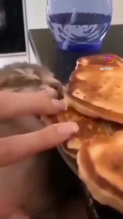 Wunkus just really likes the taste.
