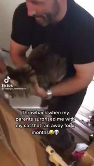 YESYESYESYESNO