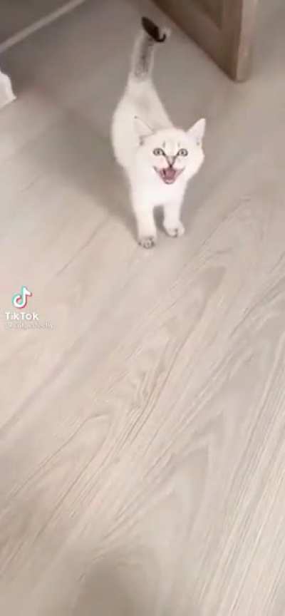 This lil guy