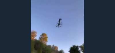Crash Bandicoot when he jumps on a “Bonus” platform.