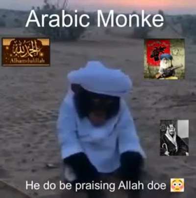 Dsotm-Arabic monkey