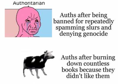If I don&rsquo;t like it, ban it -auths, 2021