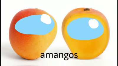 Descripci&oacute;n