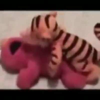 Porno