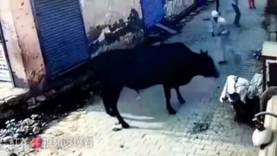 Beating a bull with a stick. WCGW?