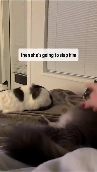 Perfect execution