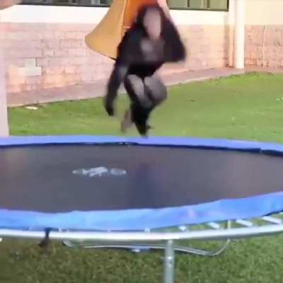 Entrenamiento de monki flip😎🤙