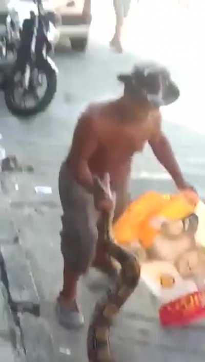 Man bit snake