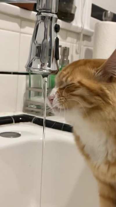 Ham has a drinking problem